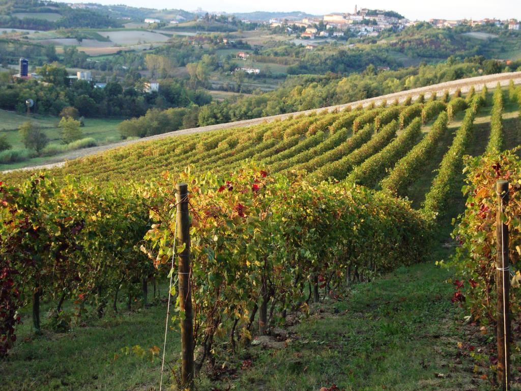 La Commedia Della Pentola Affittacamere Lu (Piedmont) Esterno foto
